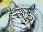 Maiolica