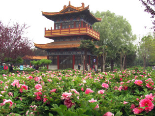 Giardino delle Peonie a Luoyang Giardino delle Peonie a Luoyang